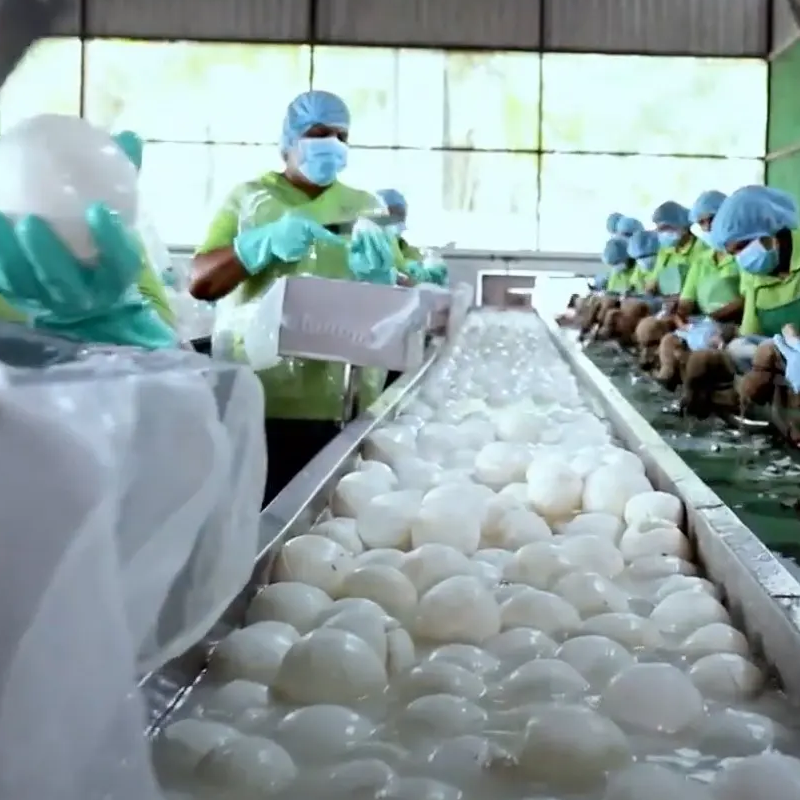 Manufacturing Facility 2
